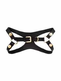 Versace harnais pour animaux Medusa à détails de clous